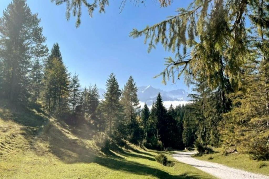 Zentral, Ruhig & Stilvoll Mit Bergpanorama+ Garten Гармиш-Партенкирхен Экстерьер фото
